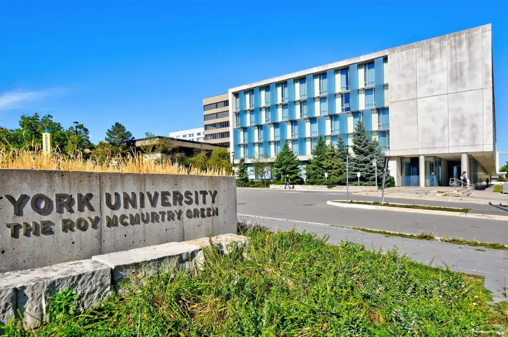 York University international student scholarships